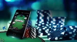 cricxo bet